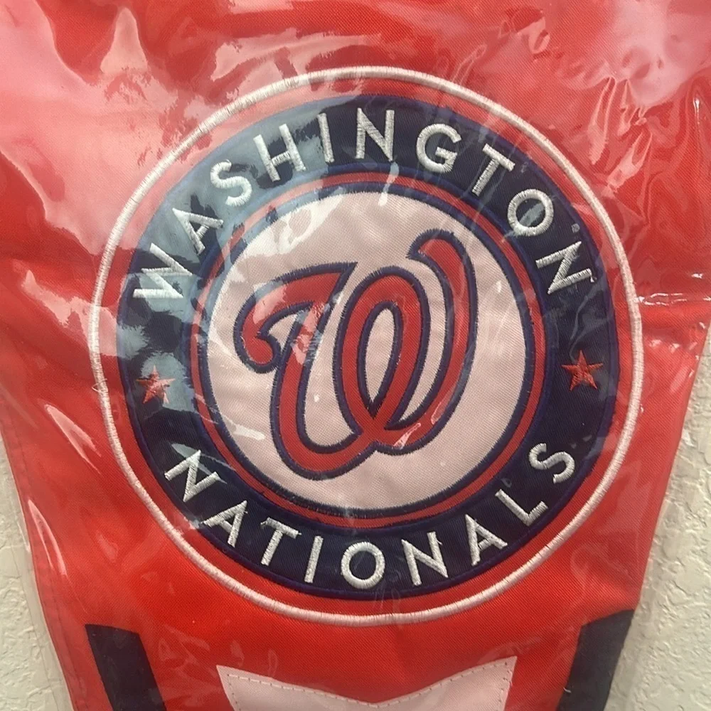 Washington Nationals wall and yard pennant